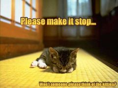 Stop-Kitten