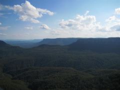 IMG_0514 (Medium).JPG