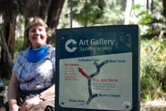 Sign to Art Gallary at Carnarvan Gorge.jpg
