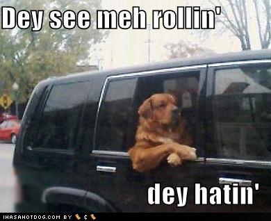 funny-dog-pictures-rich-dog-has-haters1.jpg