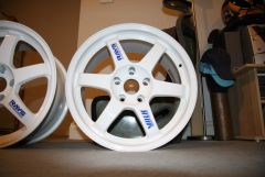 IMG_2504.jpg