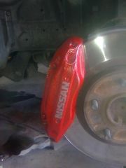 Painted Calipers