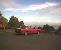 1982 R30 Skyline Import