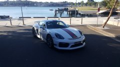 Porsche GT4