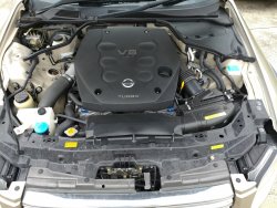 20170308_142412.jpg