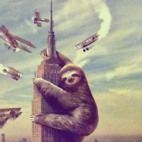 Sloth empire