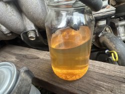 IMG_7768.jpeg