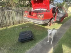 IMG_8013.jpeg