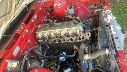 IMG_8172.jpeg