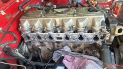 IMG_8174.jpeg