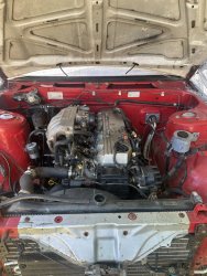 IMG_8176.jpeg