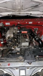 IMG_8294.jpeg