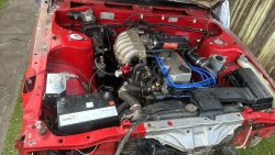 IMG_8331.jpeg
