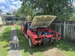IMG_8455.jpeg