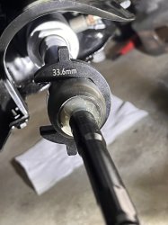 IMG_3023.jpeg