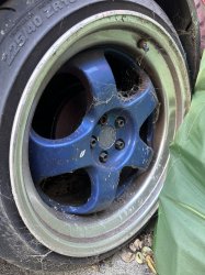 IMG_7548.jpeg