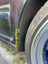 IMG_7550.jpeg