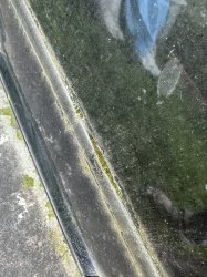 IMG_7554.jpeg