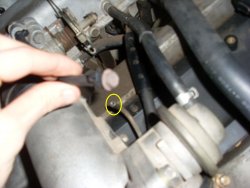 post-13315-1284669306_thumb.jpg