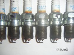post-16885-1211011588_thumb.jpg