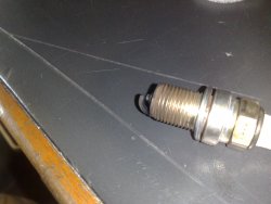 post-27276-1230272435_thumb.jpg