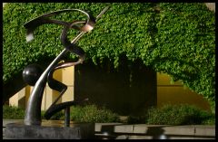 CRW_0855_