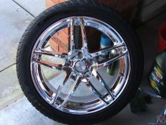 17"x7" Real Modified Spec RM