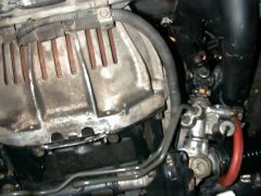 DSC00004_8_