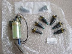 GTR Fuel Pump & Injectors