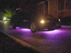 Purple Lights