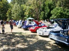 Noosa Beach Car Show