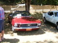 Noosa Beach Car Show