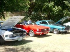 Noosa Beach Car Show