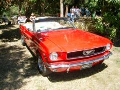 Noosa Beach Car Show