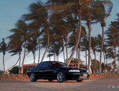 GTR in Dampier