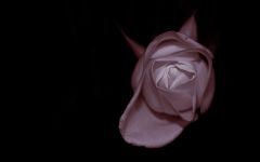 IMG_0772_