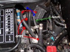 P1010019_origenal