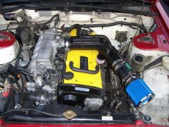 R31