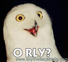 orly_owl